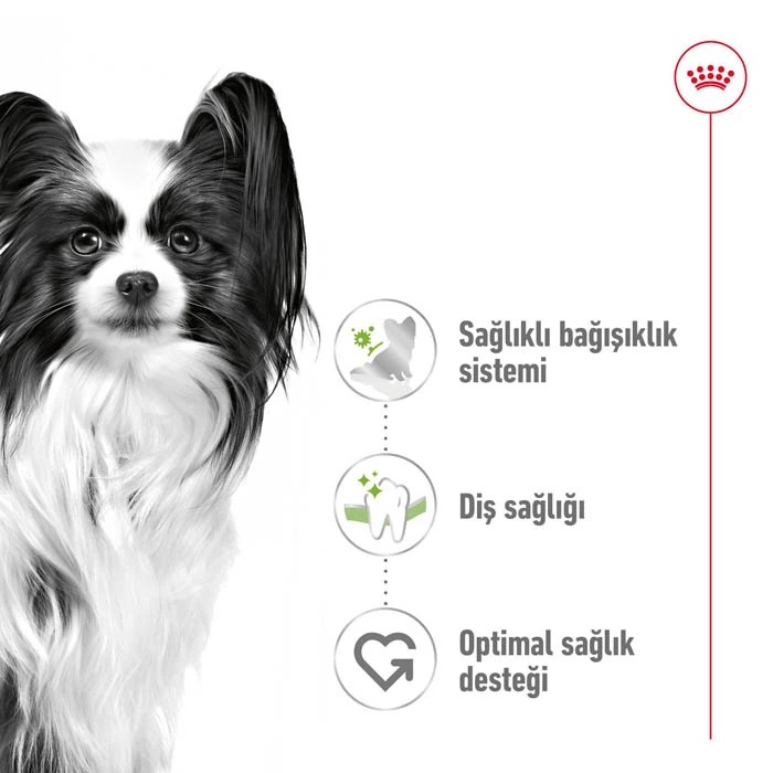 ROYAL CANIN KOPEK XSMALL ADULT 3 KG