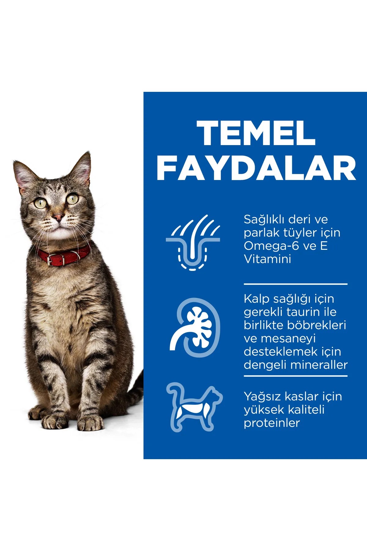 HİLLS TAVUKLU YETİŞKİN KEDİ MAMASI 1.5 KG