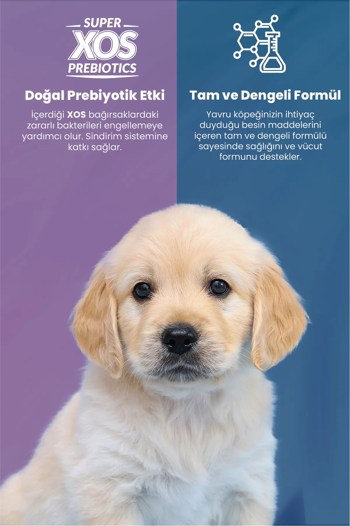 REFLEX PLUS KUZULU PİRİNÇLİ YAVRU KÖPEK MAMASI 15 KG