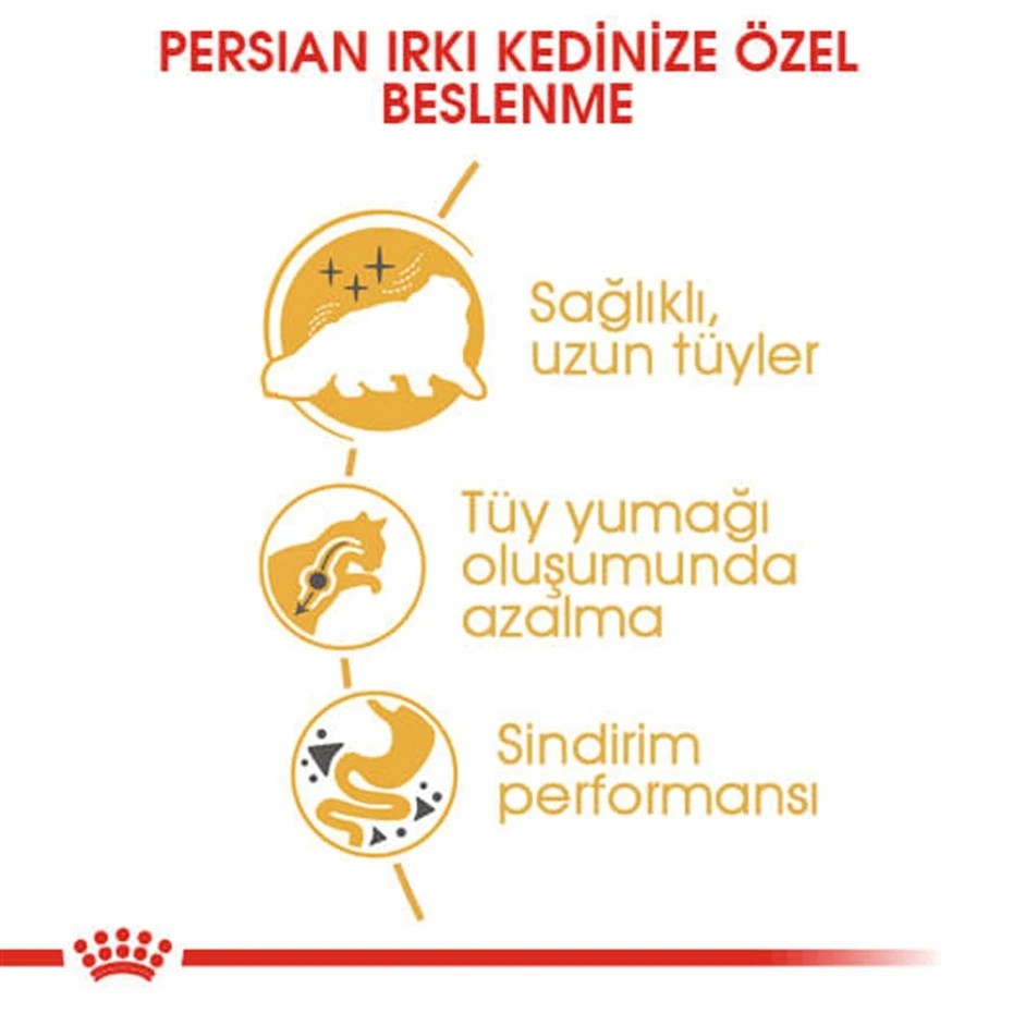 ROYAL CANİN PERSİAN ADULT KURU KEDİ MAMASI 2 KG