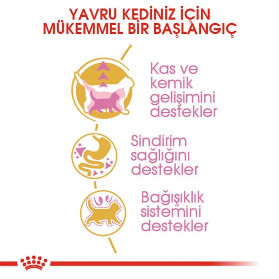 ROYAL CANİN FELİNE KİTTEN BRİTİSH SHORTHAİR YAVRU KEDİ MAMASI 2 KG