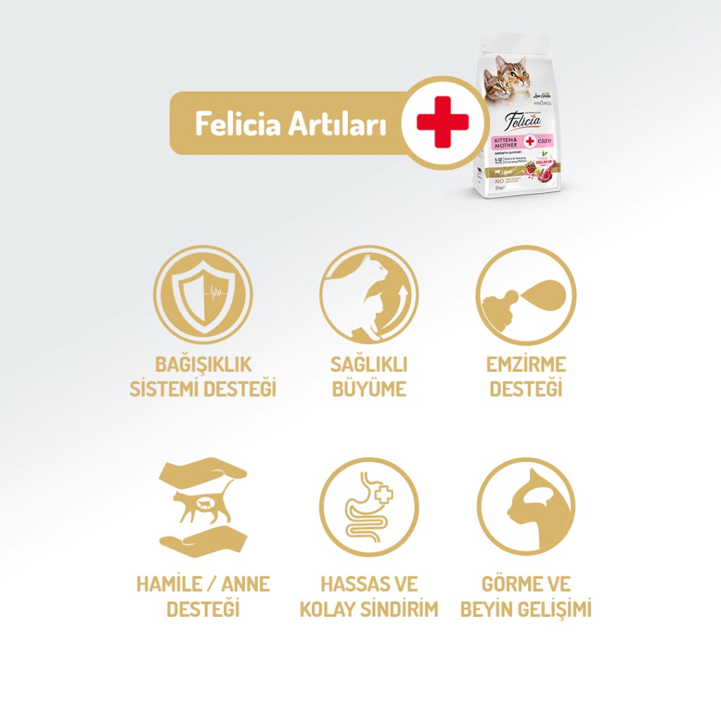 FELİCİA DÜŞÜK TAHILLI KUZULU YAVRU KEDİ MAMASI 2 KG