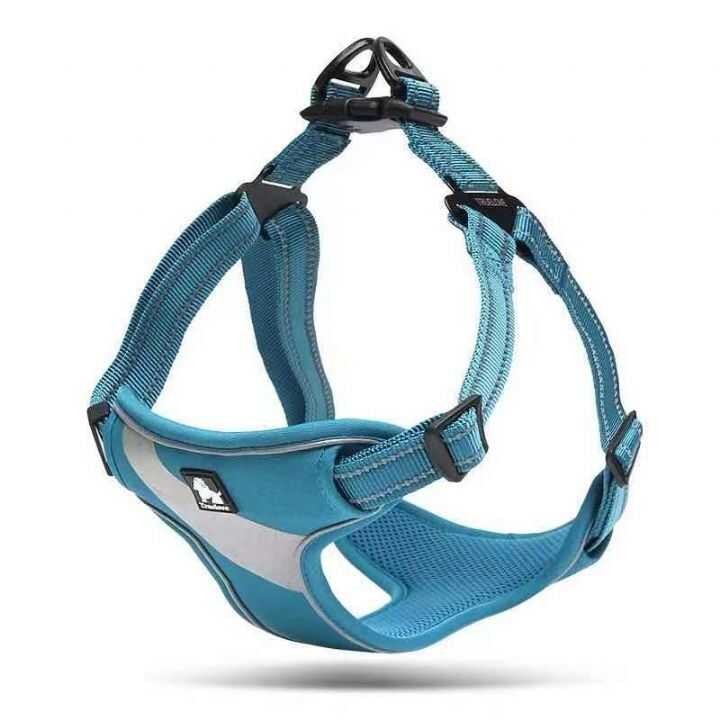 KÖPEK GOGUS TASMASI NUNBELL M