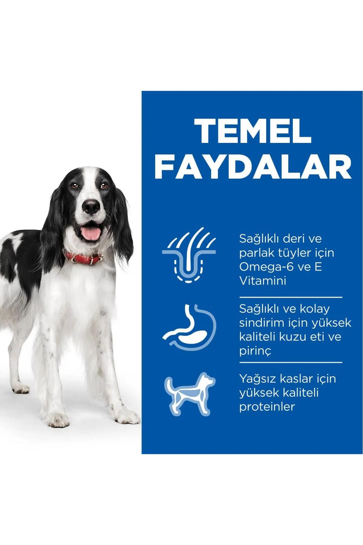 HİLLS KUZU ETLİ YETİŞKİN KURU KÖPEK KURU MAMASI 2.5 KG