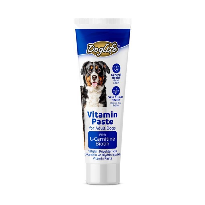 DOGLIFE YETISKIN KÖPEKLER IÇIN VITAMIN PASTE 100ML