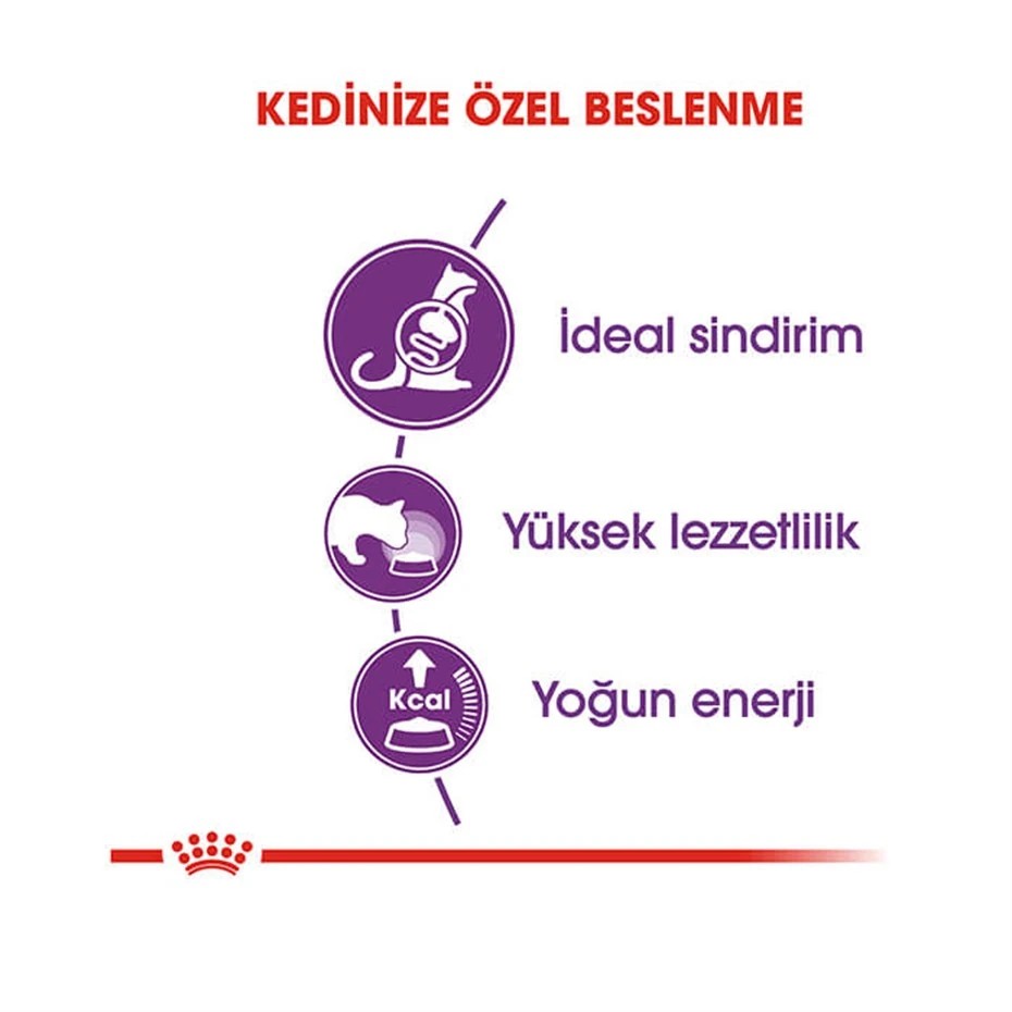 ROYAL CANİN SENSİBLE 33 KURU KEDİ MAMASI 2 KG
