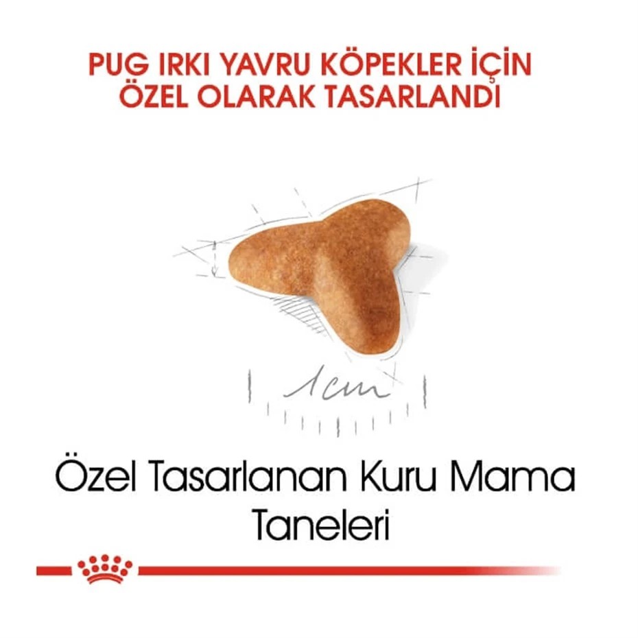 ROYAL CANİN PUG 25 PUG JUNİOR YAVRU KÖPEK MAMASI 1,5 KG
