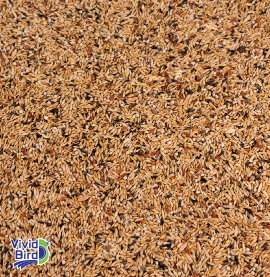 Kuş Yemlerinde Kalite ve Doğru Seçimin Önemi