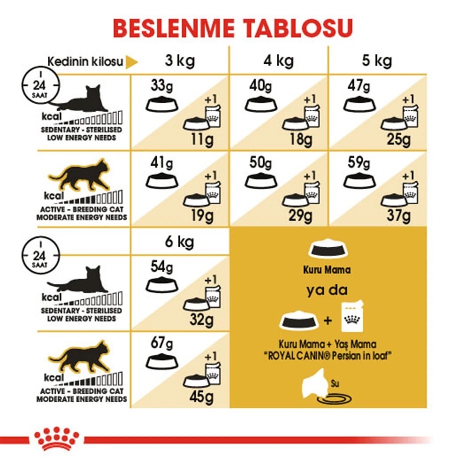 ROYAL CANİN PERSİAN ADULT KURU KEDİ MAMASI 2 KG