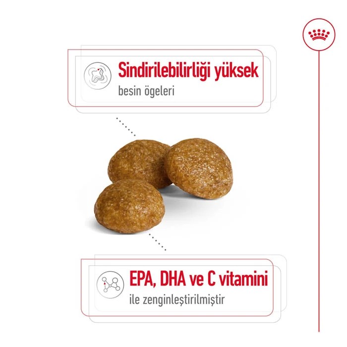 ROYAL CANIN KOPEK XSMALL ADULT 3 KG