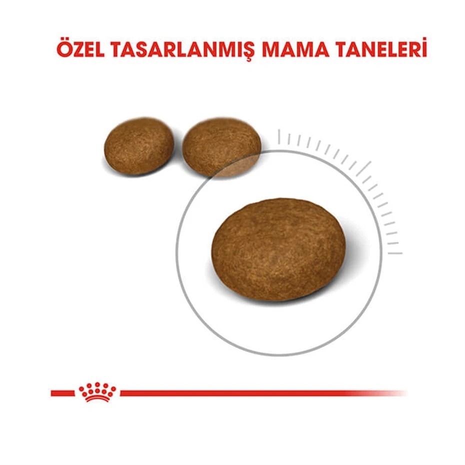 ROYAL CANİN HAİR SKİN HASSAS TÜYLÜ KEDİLER İÇİN MAMA 2 KG