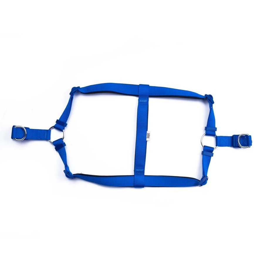 DOGGIE DSGT10XL ROYALBLUE