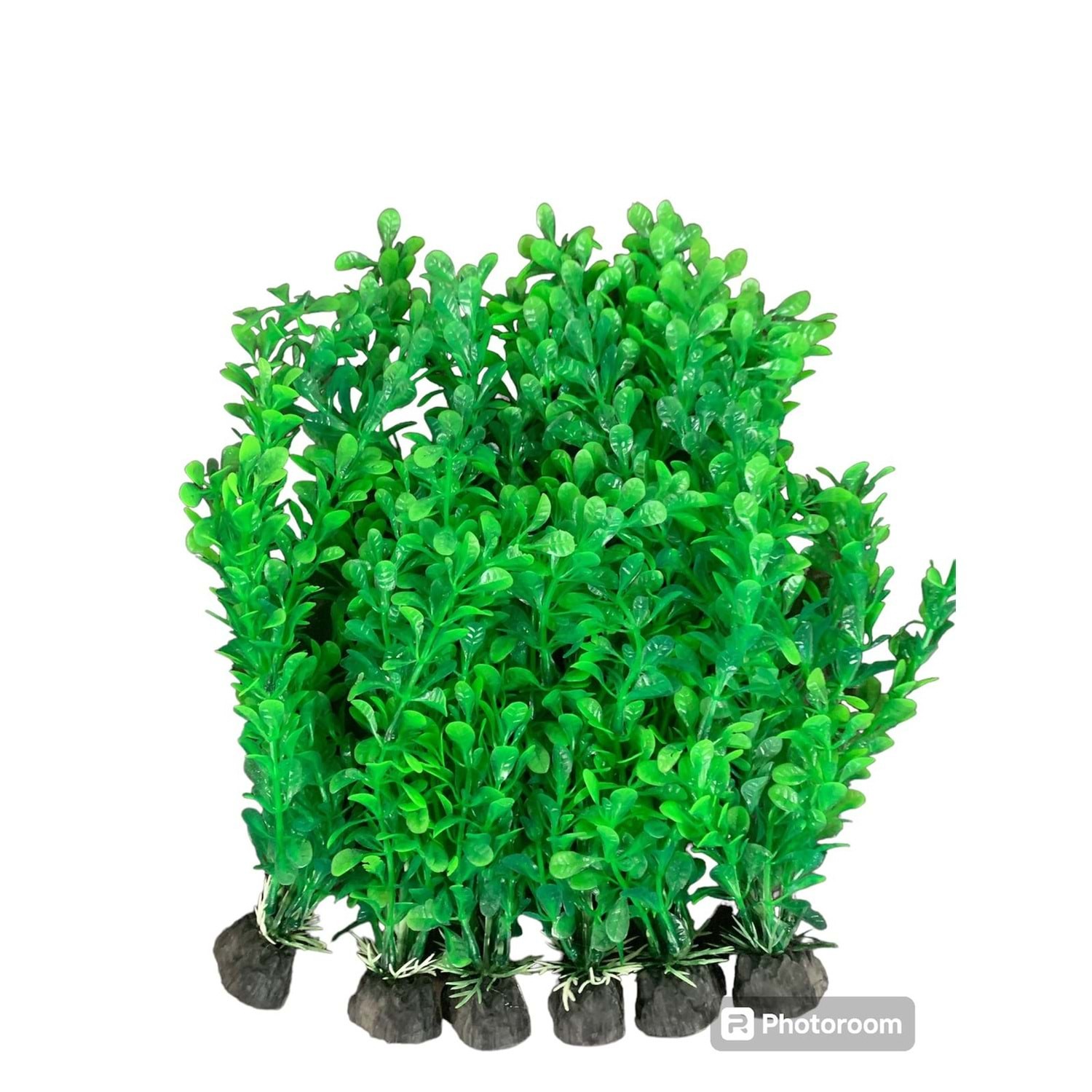 AKVARYUM BİTKİSİ 4×30 CM