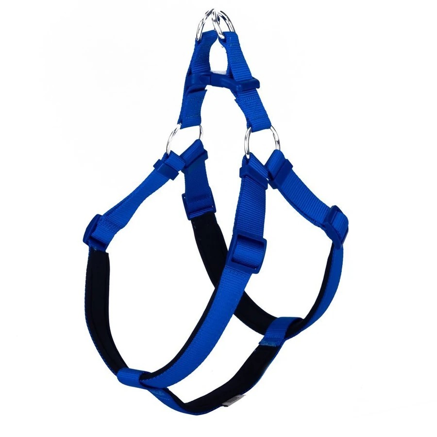 DOGGIE DSGT10XL ROYALBLUE