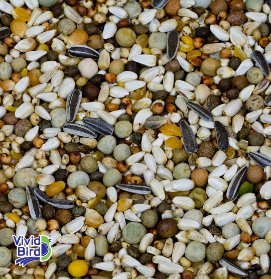 VİVİD LUX KARİSİK GÜVERCİN YEMİ 20 KG