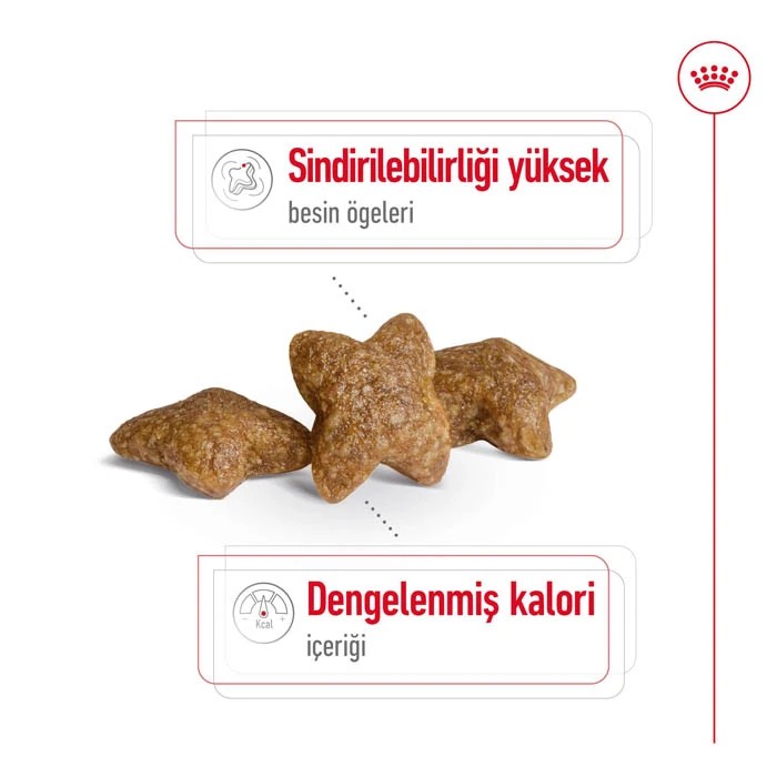 ROYAL CANİN MİNİ ADULT YETİŞKİN KÖPEK MAMASI 2 KG