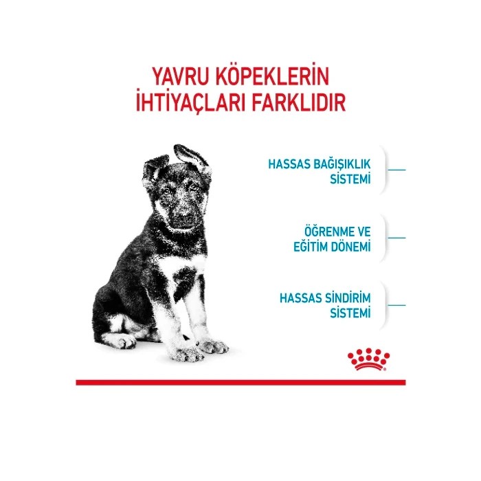 ROYAL CANIN MAXİ PUPPY 10 KG.