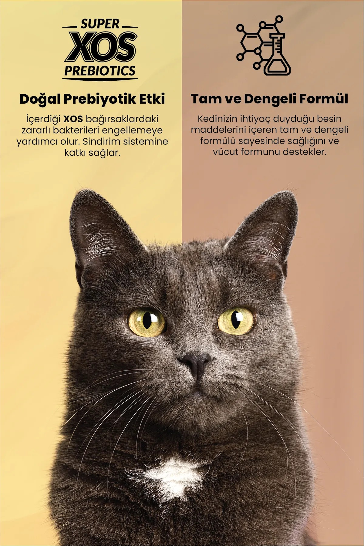 REFLEX PLUS TAVUK ETLİ KEDİ MAMASI 1.5 KG
