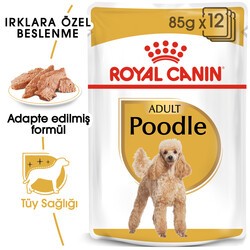 Royal Canin Pouch Poodle Irkı Özel Yaş Köpek Maması 85 Gr x 12 Adet