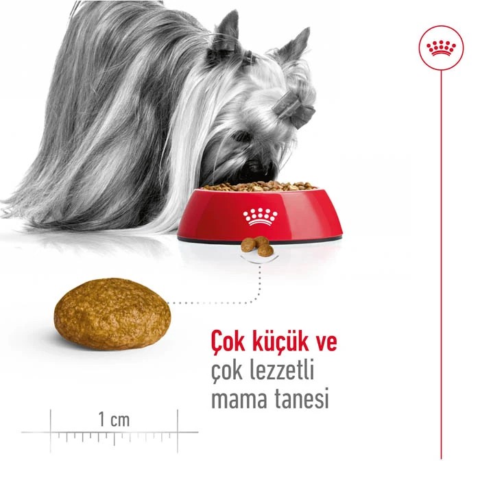ROYAL CANIN KOPEK XSMALL ADULT 3 KG