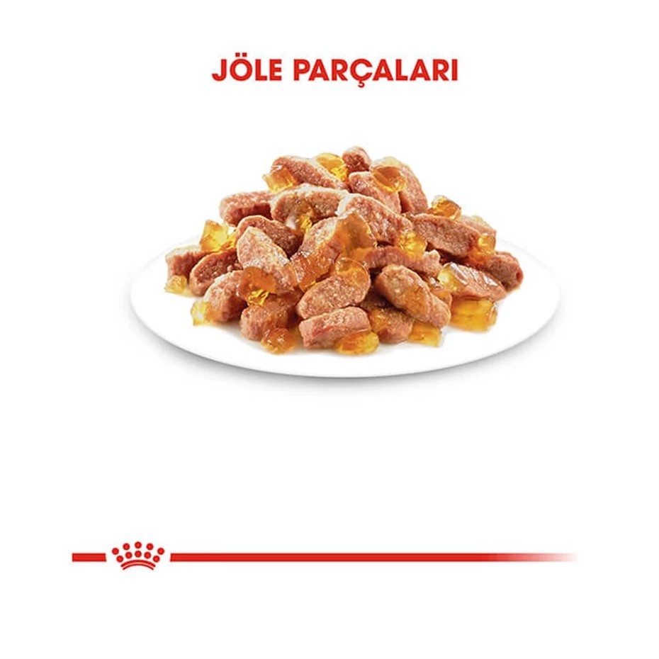 ROYAL CANİN KİTTEN JELLY YAVRU KEDİ KONSERVESİ 85 GR 12 AD