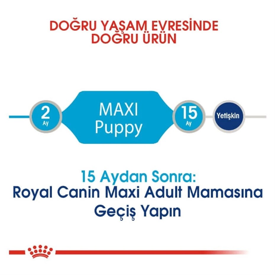 ROYAL CANİN MAXİ PUPPY BÜYÜK IRK YAVRU KÖPEK MAMASI 15 KG