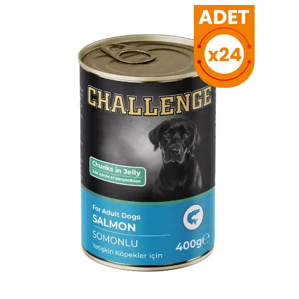 Challenge Somonlu Yetişkin Konserve Köpek Maması 400 Gr x 24 Adet