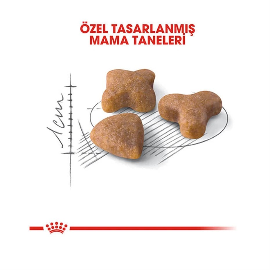 ROYAL CANİN SENSİBLE 33 KURU KEDİ MAMASI 2 KG