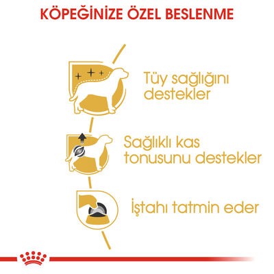 Royal Canin Pouch Poodle Irkı Özel Yaş Köpek Maması 85 Gr x 12 Adet