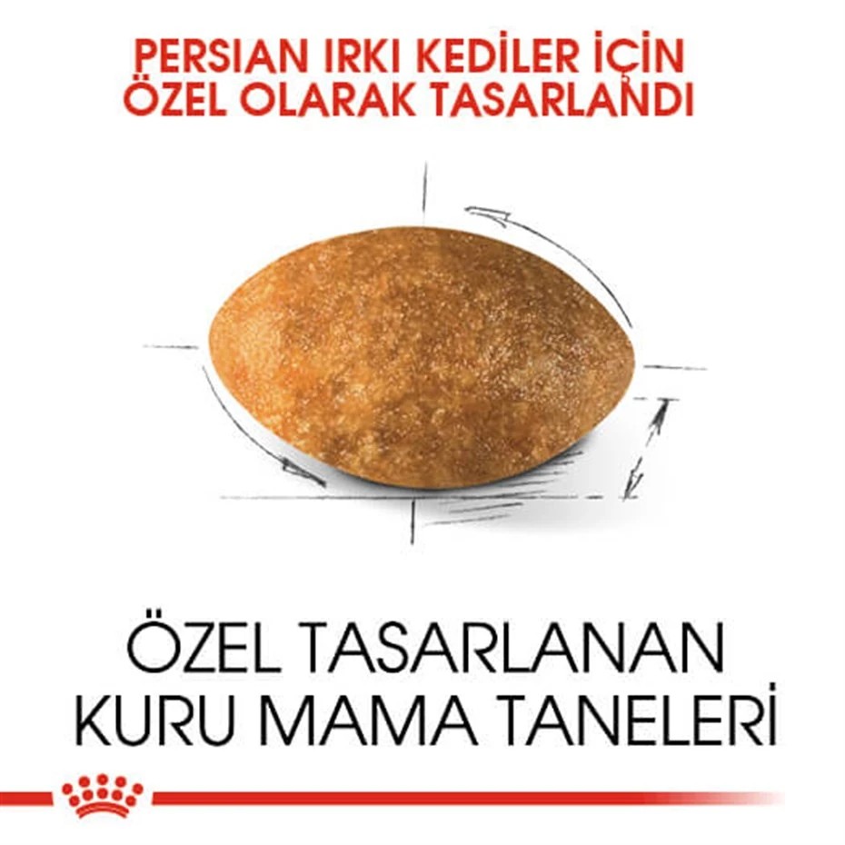 ROYAL CANİN PERSİAN ADULT KURU KEDİ MAMASI 2 KG