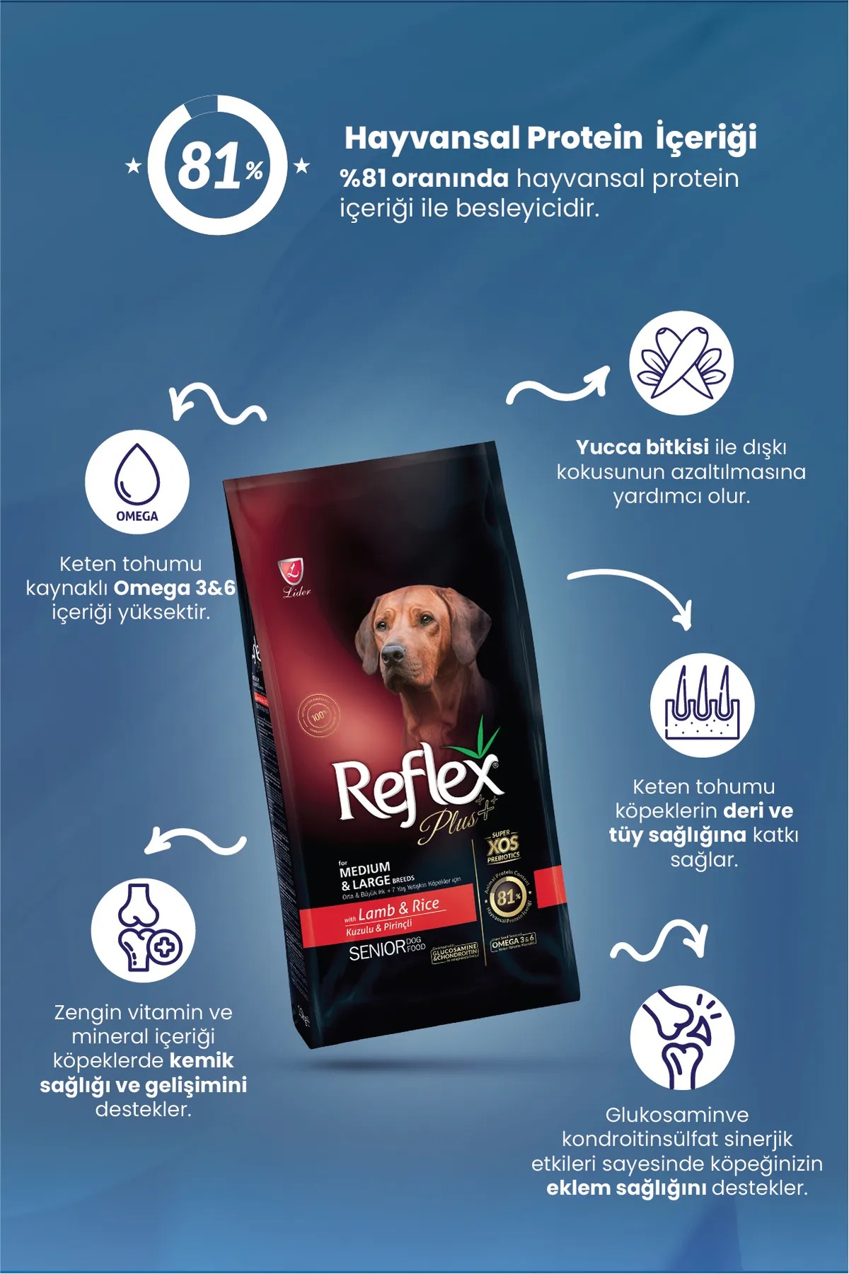 REFLEX PLUS BÜYÜK ORTA IRK KUZULU YAŞLI KÖPEK MAMASI 3 KG