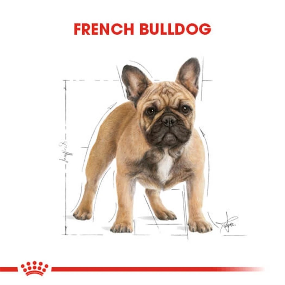ROYAL CANİN FRENCH BULLDOG YETİŞKİN KÖPEK MAMASI 3 KG