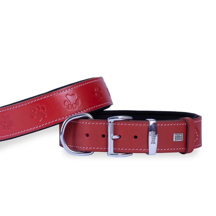 RED TASMA