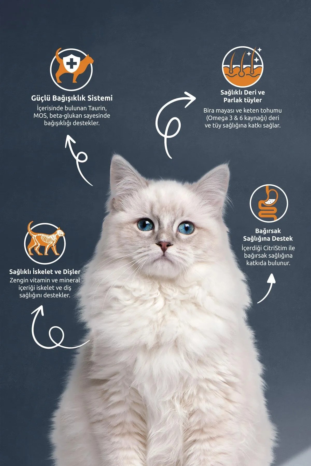 REFLEX STERİLSED SOMON KEDİ MAMASİ 10 KG