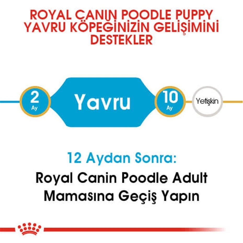 ROYAL CANİN POODLE JUNİOR YAVRU KÖPEK MAMASI 3 KG