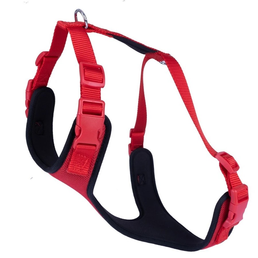 RED XL