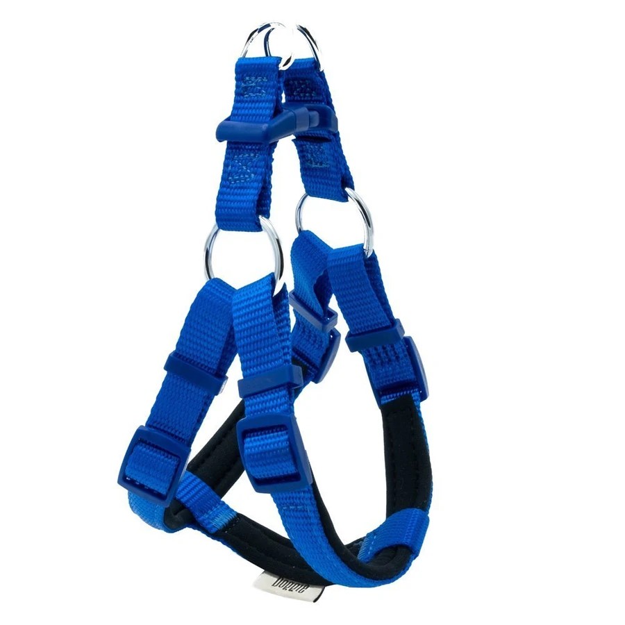 DOGGIE DSGT10XS ROYALBLUE