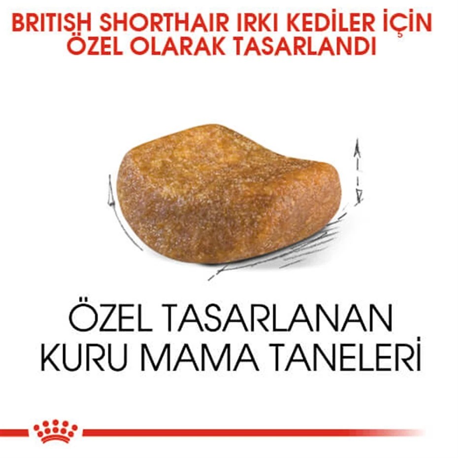 ROYAL CANİN BRİTİSH SHORTHAİR YETİŞKİN KEDİ MAMASI 2 KG
