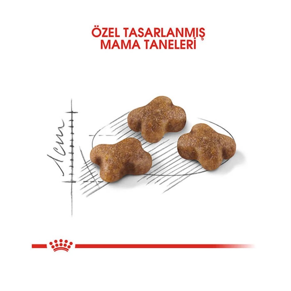 ROYAL CANİN KİTTEN YAVRU KURU KEDİ MAMASI 4 KG