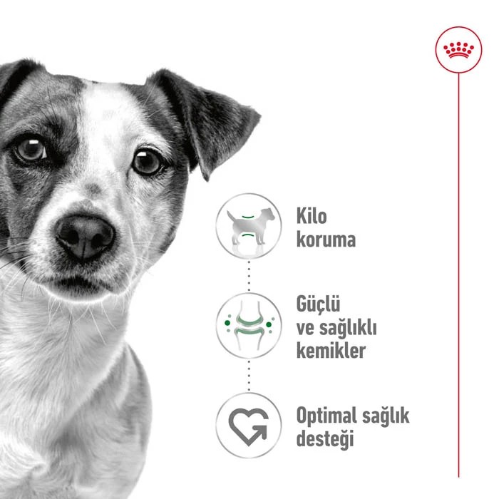 ROYAL CANİN MİNİ ADULT YETİŞKİN KÖPEK MAMASI 2 KG