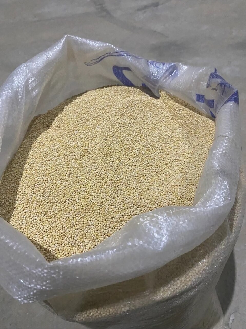 AKDARI 25 KG