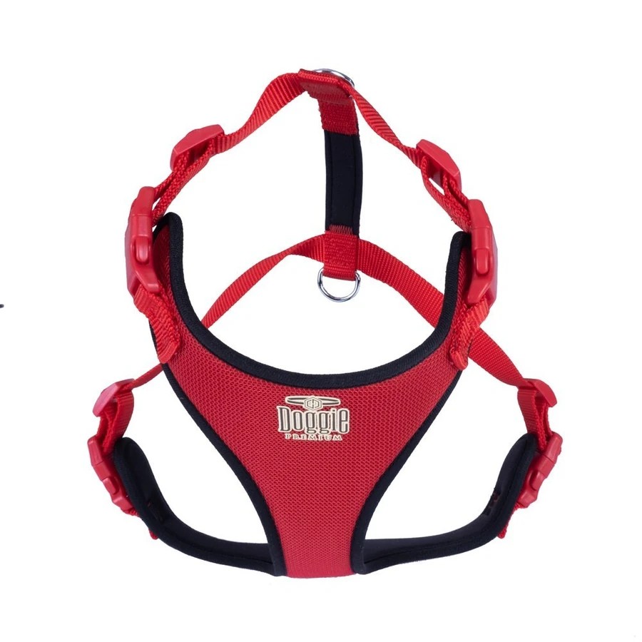 RED XL