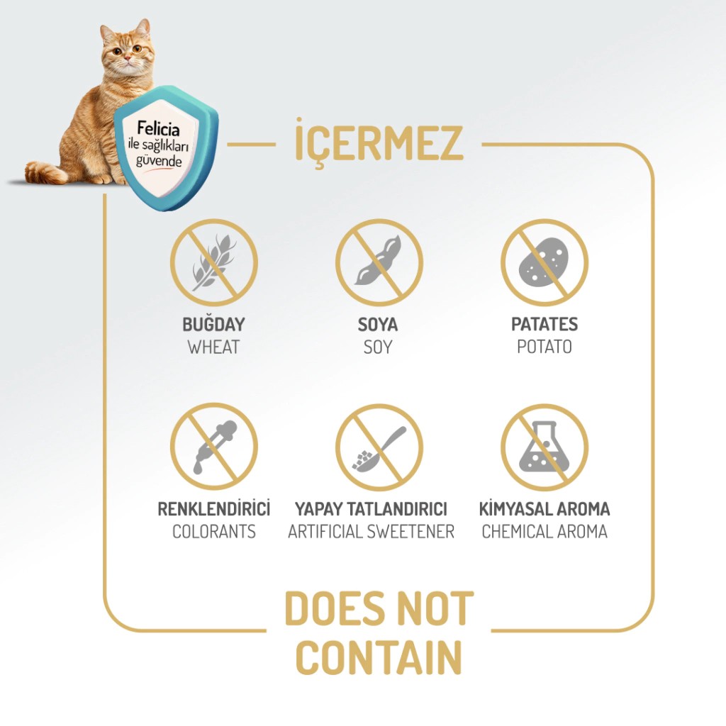 FELİCİA DÜŞÜK TAHILLI KUZULU YAVRU KEDİ MAMASI 2 KG