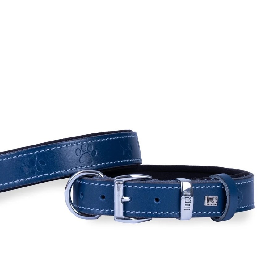 DOGGIE SBT3036M ROYALBLUE