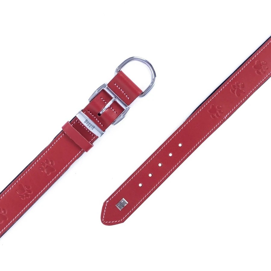 RED TASMA