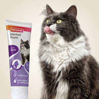 BEAPHAR DUO MALT PASTA KEDİ MALTI 100 GR