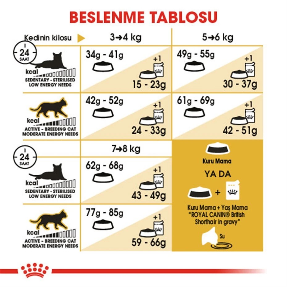 ROYAL CANİN BRİTİSH SHORTHAİR YETİŞKİN KEDİ MAMASI 2 KG