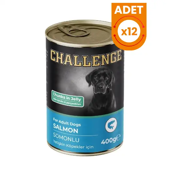 Challenge Somonlu Yetişkin Konserve Köpek Maması 400 Gr x 12 Adet