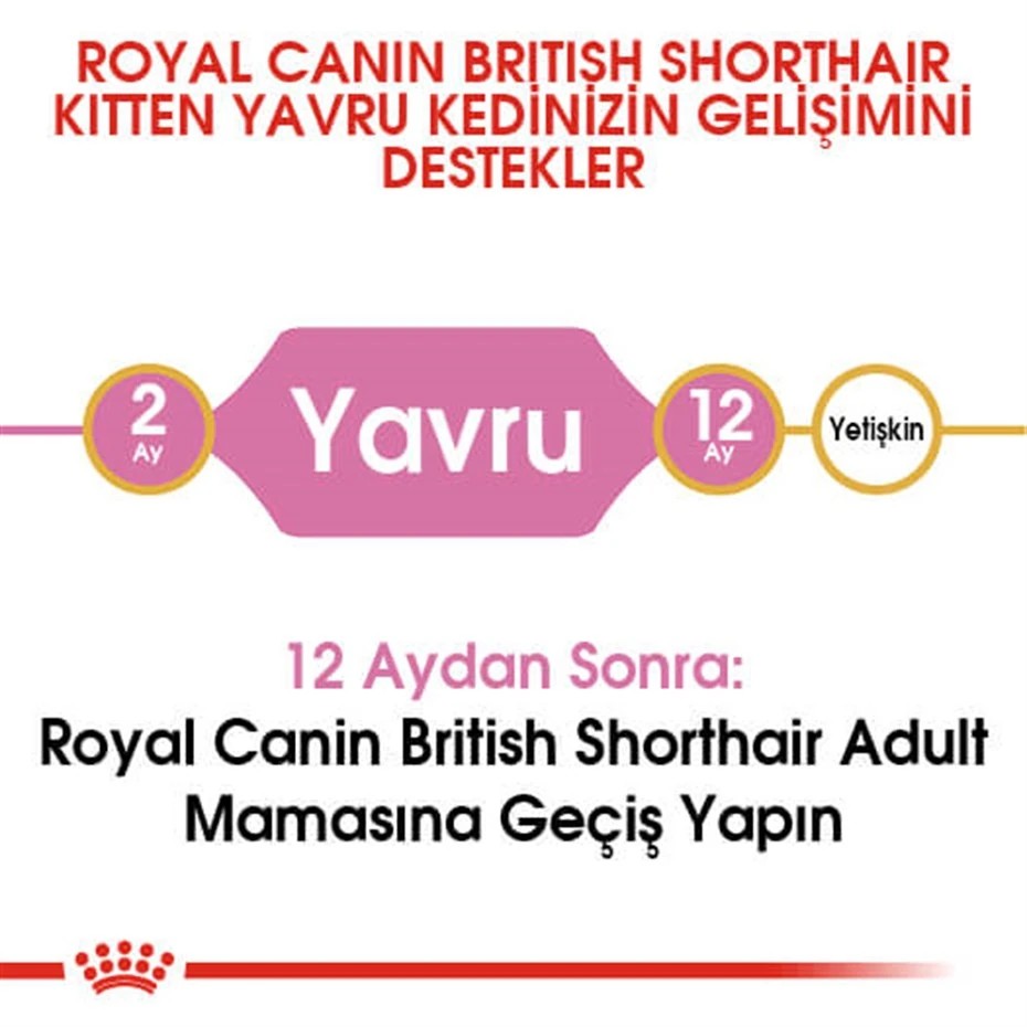 ROYAL CANİN FELİNE KİTTEN BRİTİSH SHORTHAİR YAVRU KEDİ MAMASI 2 KG
