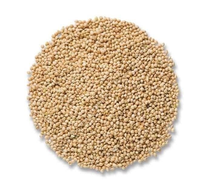 AKDARI VİVİD 20 KG